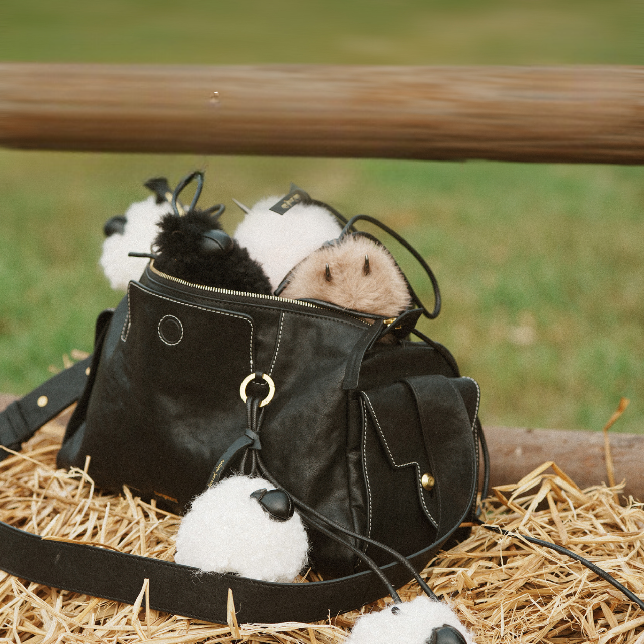 Car Hanging Fragrance on Bag