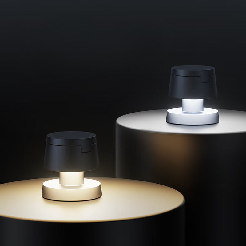 Mushroom Lamp