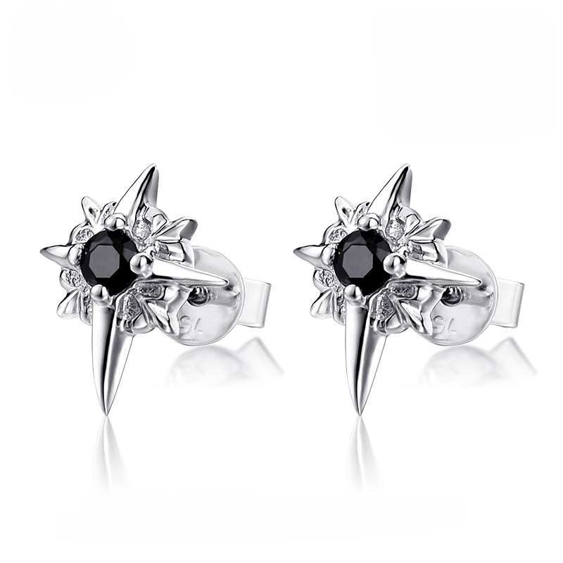 Polaris Silver Earrings Pair