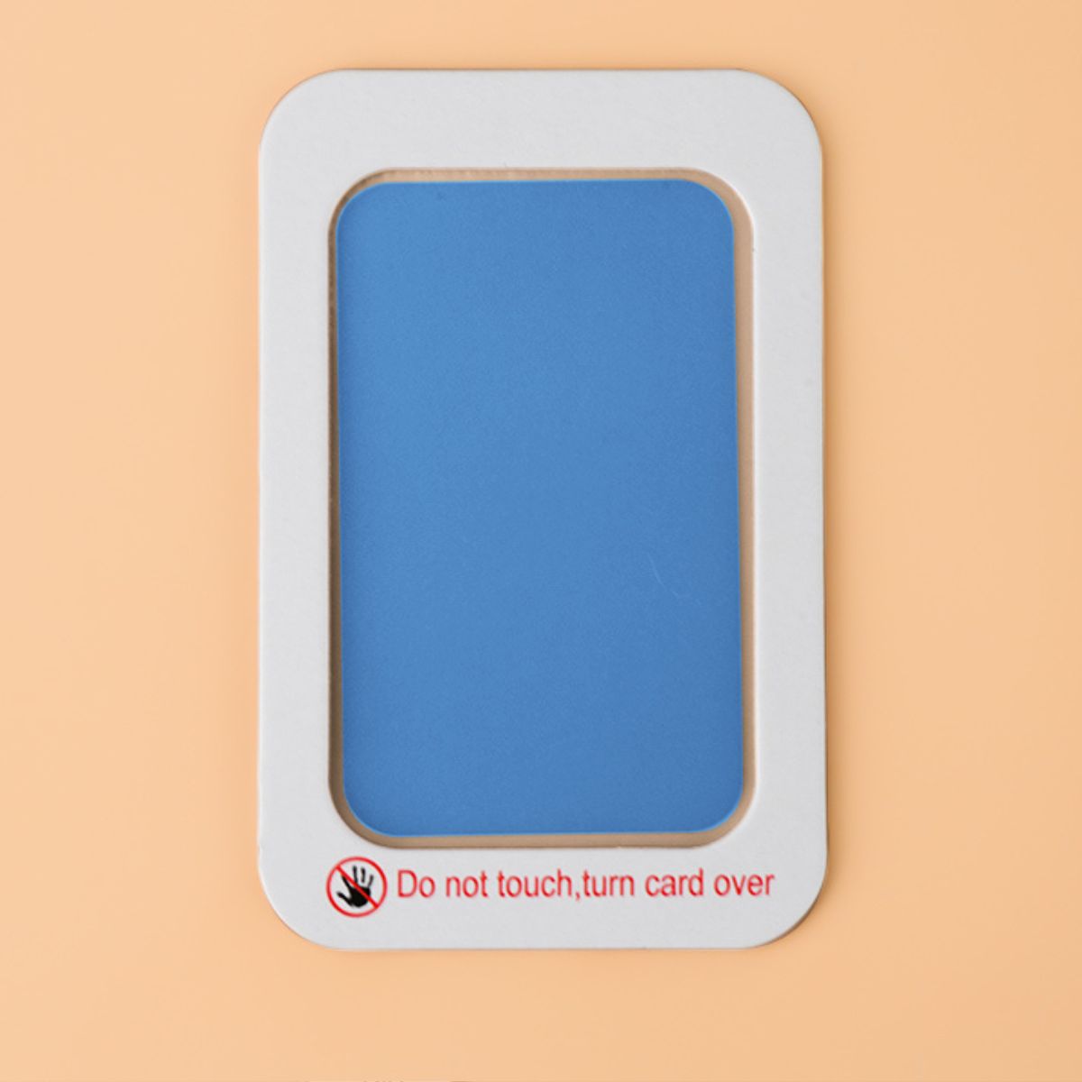 Blue Pet Paw Print Kit