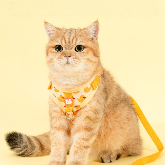 A cute cat wears the yellow adjustable outdoor walking harness. It’s really comfortable and fit.