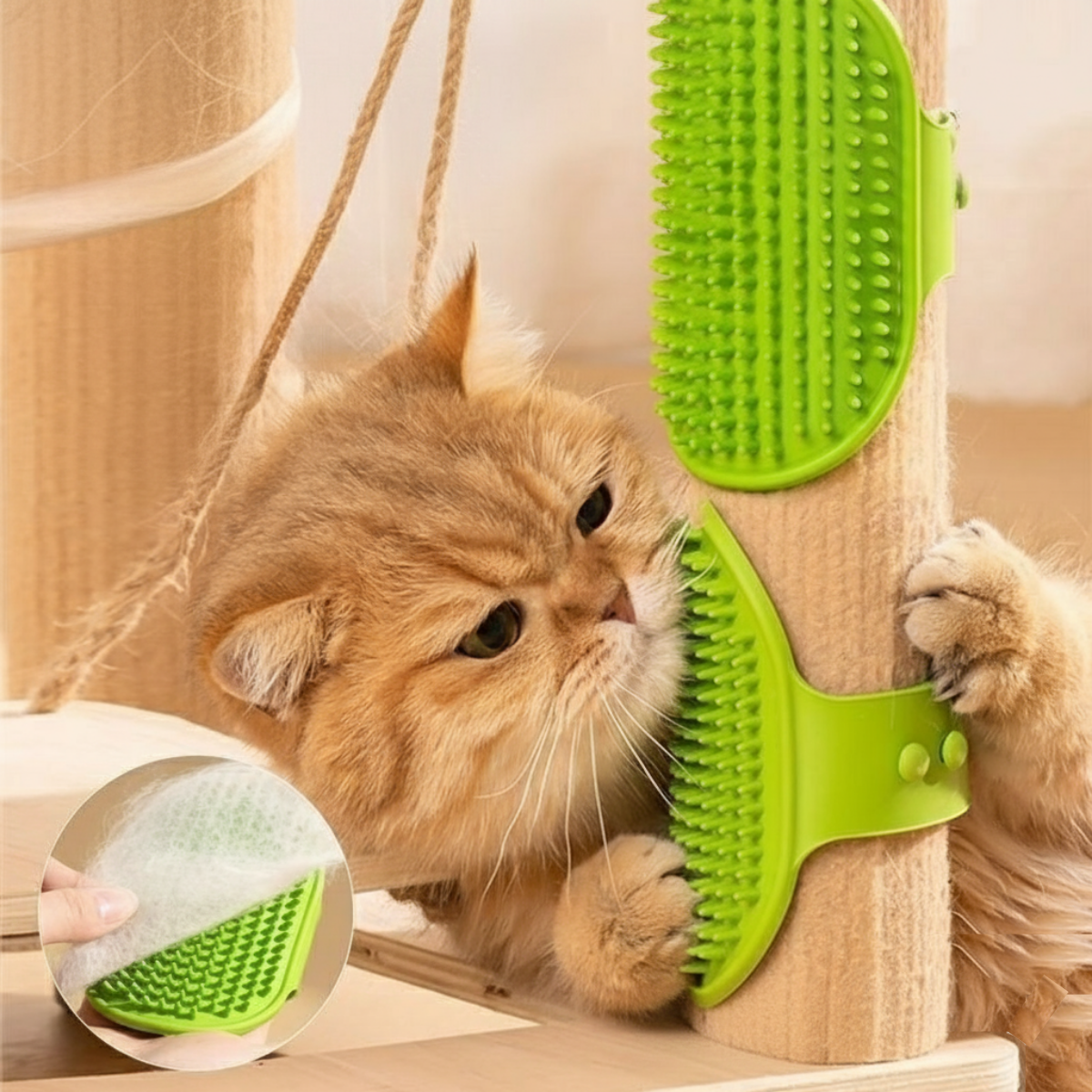 Cat & Dog Self-Grooming Scratch Brush