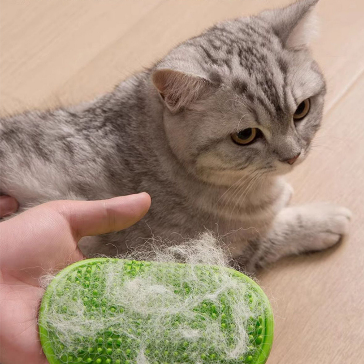 Cat & Dog Self-Grooming Scratch Brush with Cute Cat