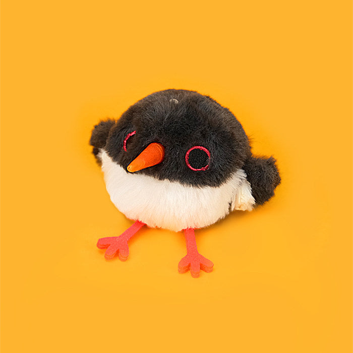 EurasianOystercatcher