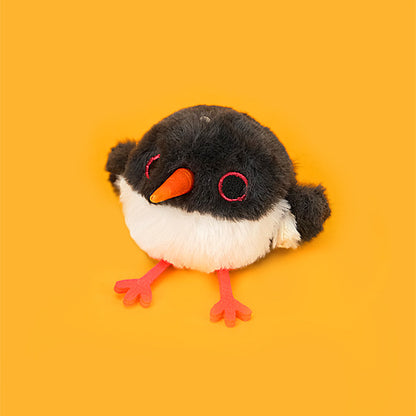 EurasianOystercatcher