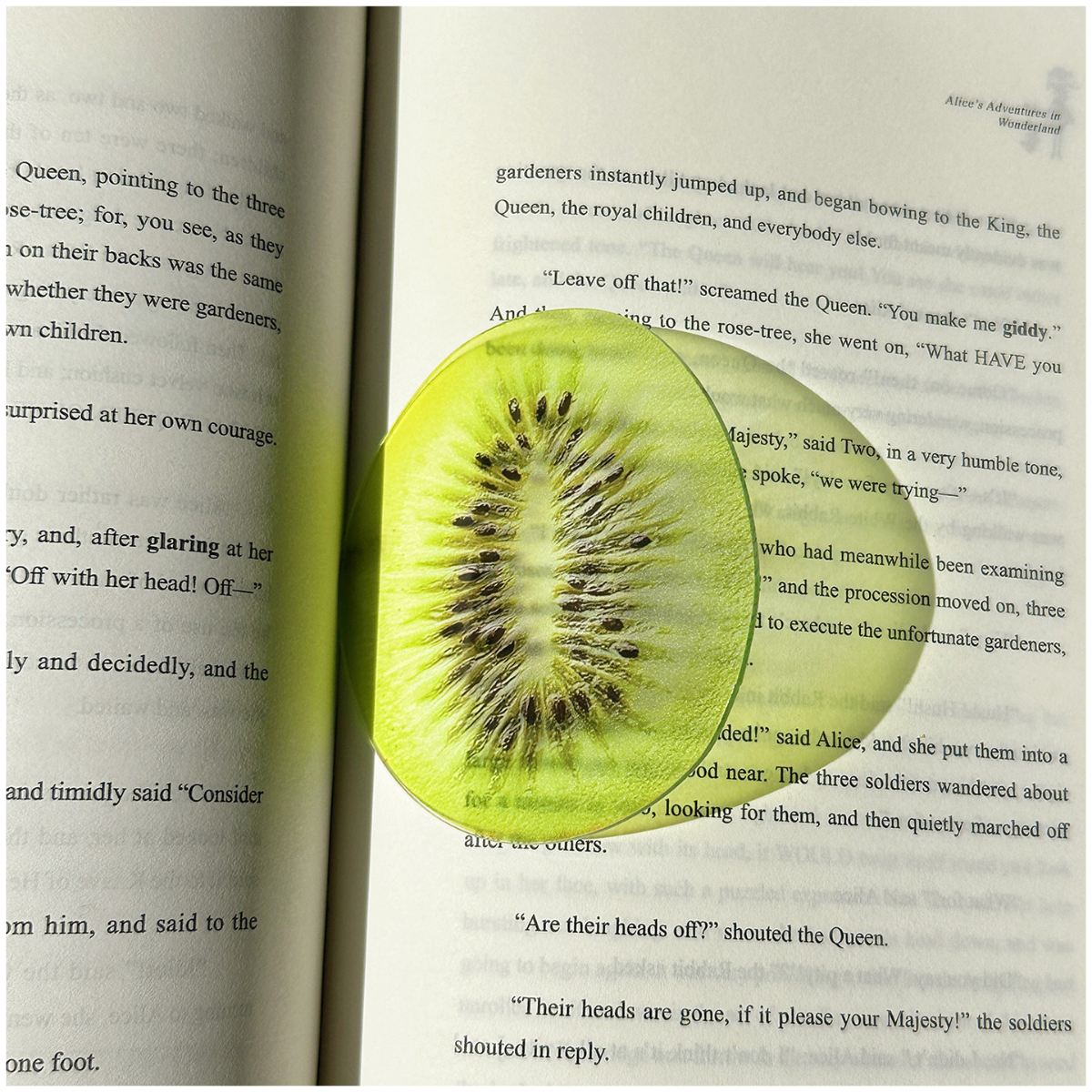 Kiwi - Future Treasure - Fruit Acrylic Transparent Bookmark