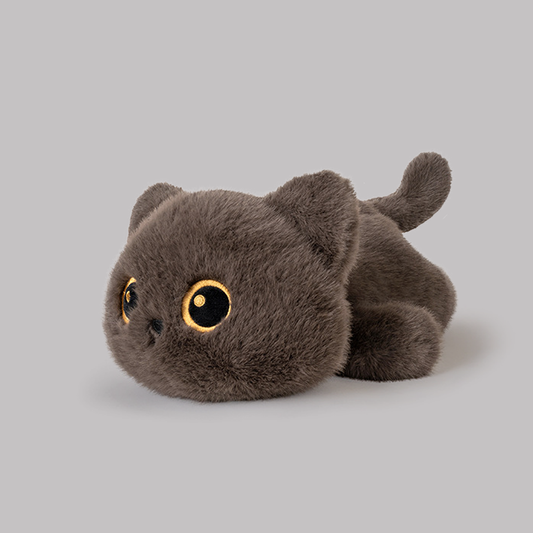 Miwan Box - British Shorthair Cat Plush Toy