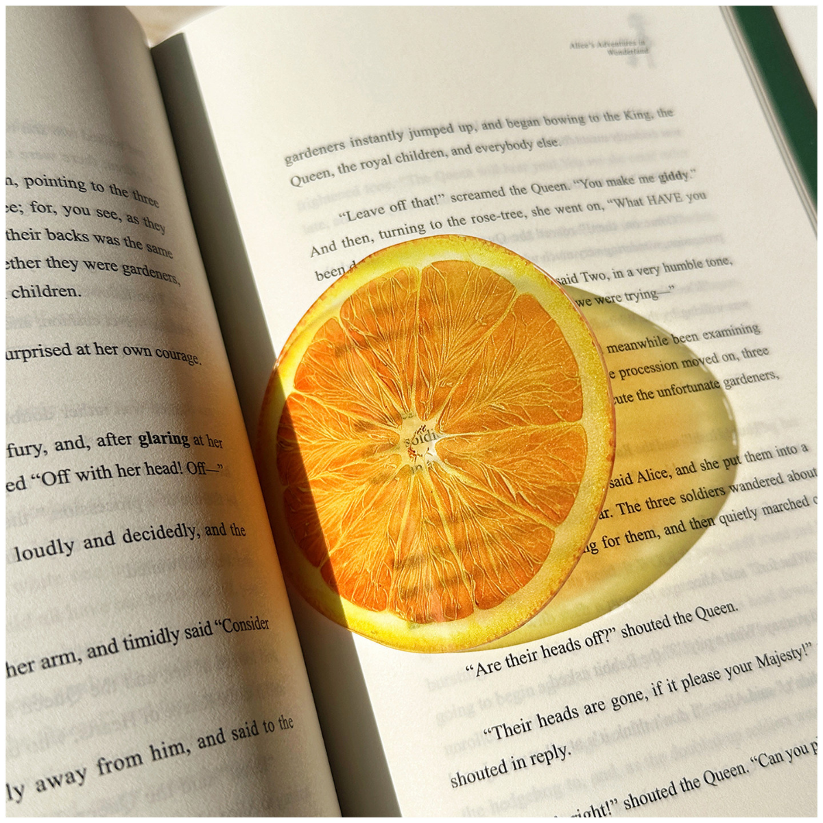 Orange - Future Treasure - Fruit Acrylic Transparent Bookmark