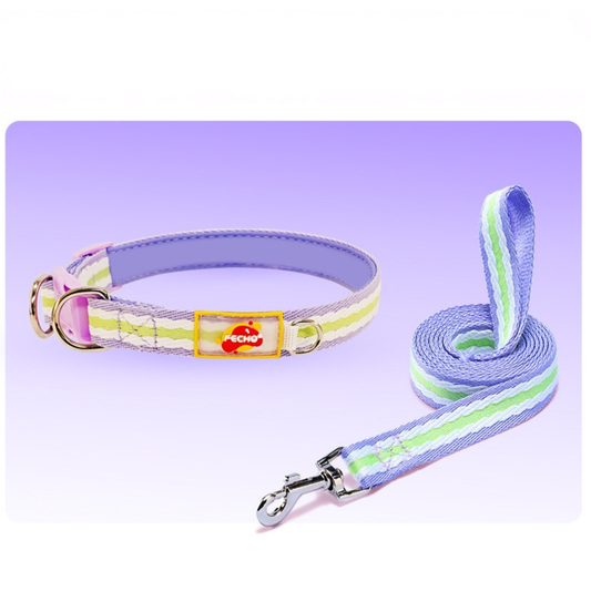 Taige Pet Supplies - Dog Collar for Small, Medium and Large Dog-