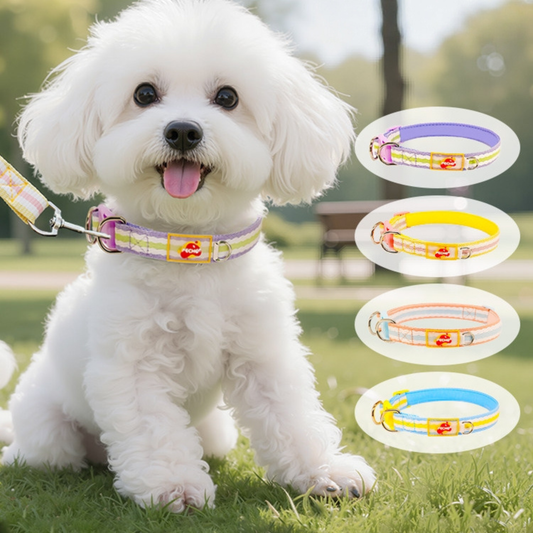 Taige Pet Supplies - Dog Collar for Small, Medium and Large Dog-