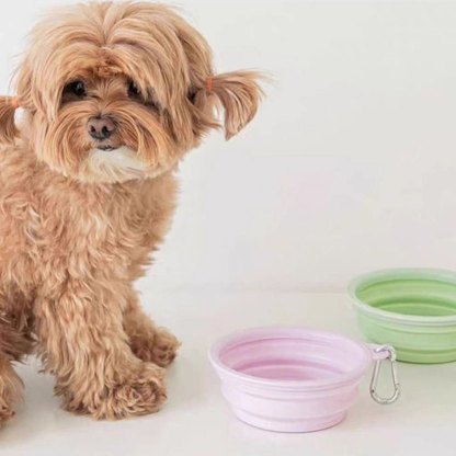 XPaws - Large Portable Silicone Collapsible Pet Bowl 650ml