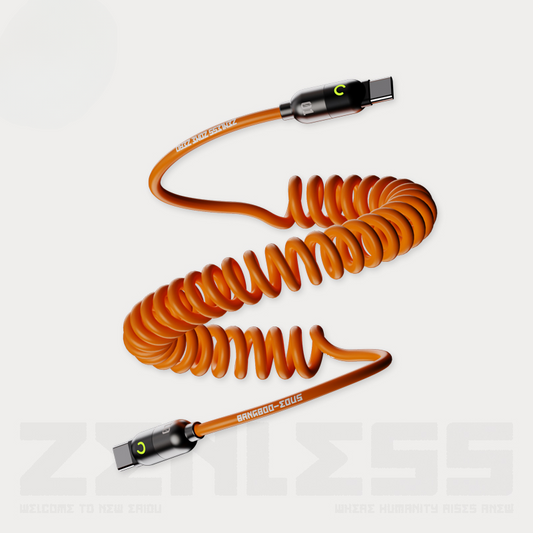 Zenless Zone Zero Fast Speed Data Cable Type C to Type C
